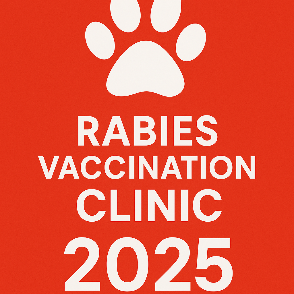 777f899c-d3fd-4364-a5ca-1045f8d22cb8