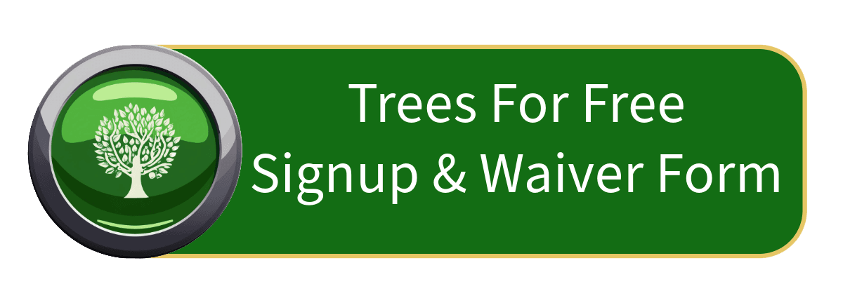 Signup & Waiver Form