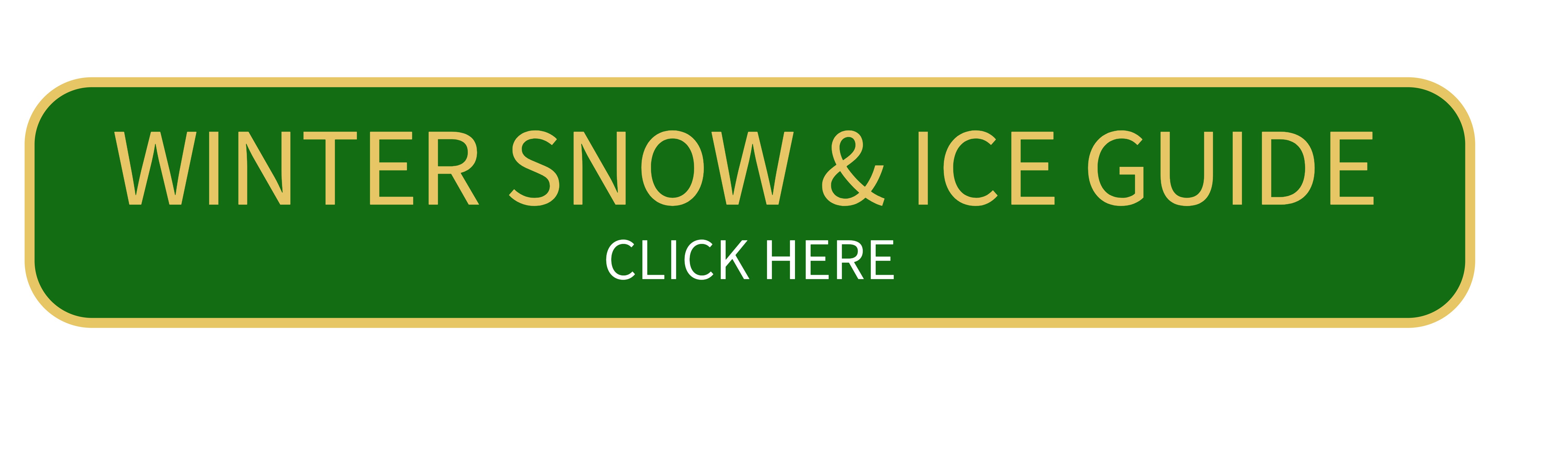 Winter Snow Ice guide